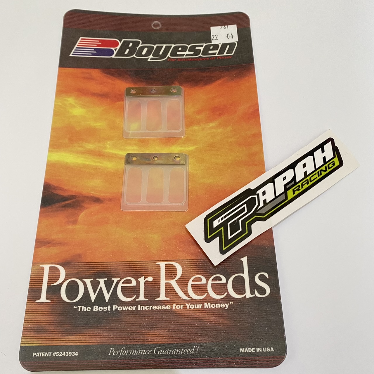 DAUN MEMBRAN BOYESEN SATRIA 2TAK